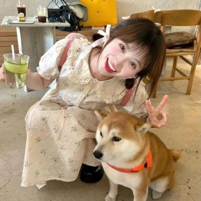 黑井